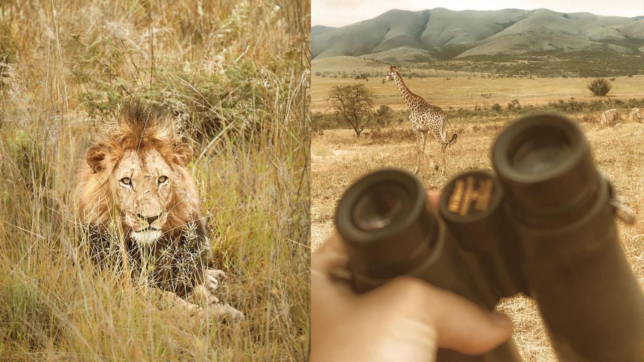 Nkomazi Game Reserve By Newmark Badplaas Exterior photo